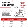 Waterproof Dog Harness Adjustable for Small Dogs Heavy Duty Harness with Durable Metal Clasp Red Color 16-22 inch S Size