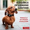 Black Long Lasting Leather Dog Collar for Medium Small Dogs 8-11 inch Neck x 0.5 inch Wide Adjustable Collars with Durable Buckle D Ring