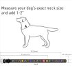 Leather Dog Collar for Small Medium Dogs NASA 8-11 in Neck x 0.5 in Wide Black Leather Buckle Dog Collar
