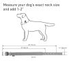 Blue Nylon Reflective Dog Adjustable Dog with Metal Buckle XL Size 23-28 inch Heavy Duty for Large Dogs