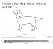 Blue Nylon Reflective Dog Adjustable Dog with Metal Buckle Heavy Duty Small Dogs Puppy XS Size 11-13 inch Neck