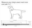 Black Nylon Reflective Dog Adjustable Dog with Metal Buckle Heavy Duty M Size 15-18 inch Neck