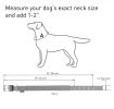 Blue Nylon Reflective Dog Adjustable Dog with Metal Buckle Heavy Duty for Large Dogs Large Size 18-22 inch Neck