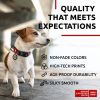 Nylon Dog Collar Adjustable for Large Dogs Small Medium Dogs 9-14 inch Neck x 3/5 inch Wide  Breakaway Collars for Boy Girl Dog with Durable Plastic B