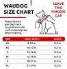 Red Ultra Soft Rolled Leather Dog Collar for Small Dogs 10-13 inch Soft Padded Dog Collars for Male and Female Dog Collar