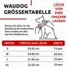 Waterproof Dog Collar Adjustable for Large Dogs Small and Medium Dogs Heavy Duty Dog Collars with Durable Metal Clasp for Boy Girl Dog Collars Pink 10