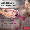 Long Lasting Leather Dog Collar for Large Dogs Medium Small Dogs Adjustable Collar with Durable Buckle D Ring 12-15 inch Neck x 4/5 inch Wide Pink Col