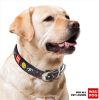 Leather Dog Collar with NASA Design Dog Collars for Medium Dogs Small Dogs 8-11 inch Neck x 0.5 inch Wide Heavy Duty Dog Collars with Durable Metal Bu