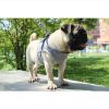 Pet Universal Harness with Leash Set Escape Proof Dog and Cat Harnesses Adjustable Reflective Soft Mesh Corduroy