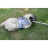 Pet Universal Harness with Leash Set Escape Proof Dog and Cat Harnesses Adjustable Reflective Soft Mesh Corduroy