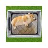 26 inch Plastic Dog House, Indoor Outdoor Doghouse Pet House with Air Vents and Elevated Floor, Insulated Water Resistant Puppy Shelter.