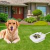 Dog Water Fountain Outdoor Dog Pet Water Dispenser Step-on Activated Sprinkler