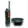 Dogtra Edge RT Trainer