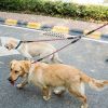 Mesh Pet Harness With Pouch